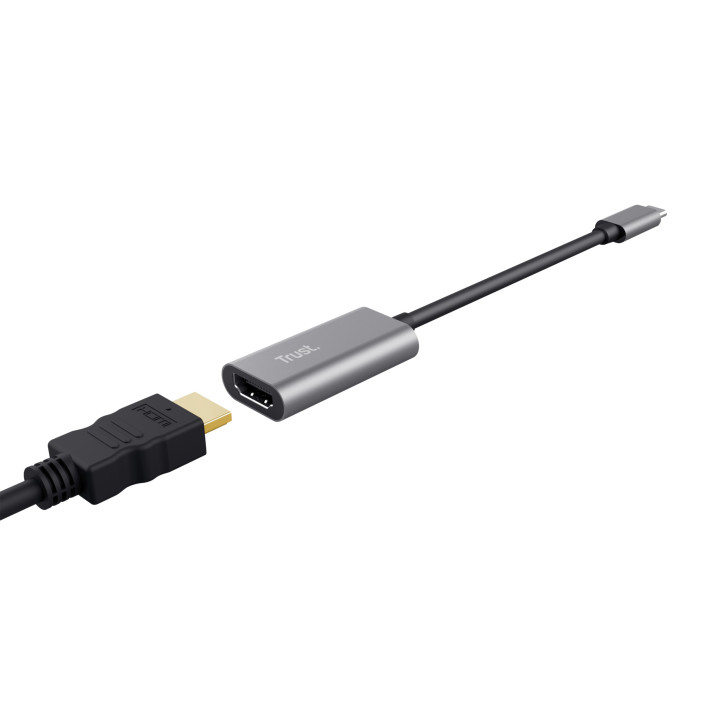 Trust Dalyx adaptador gráfico USB Cinzento
