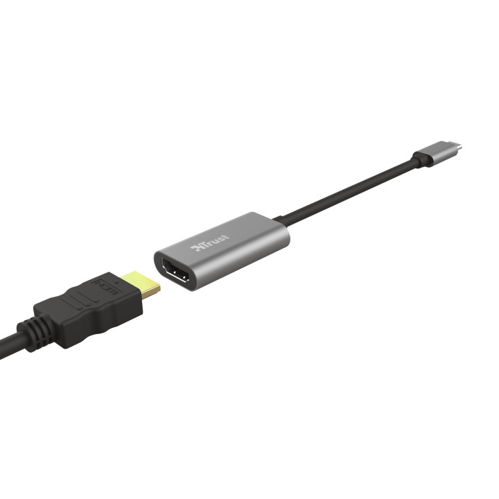 Trust Dalyx adaptador gráfico USB Cinzento