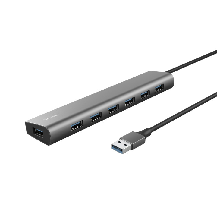 Trust Halyx USB 3.2 Gen 1 (3.1 Gen 1) Type-A 5000 Mbit s Prateado