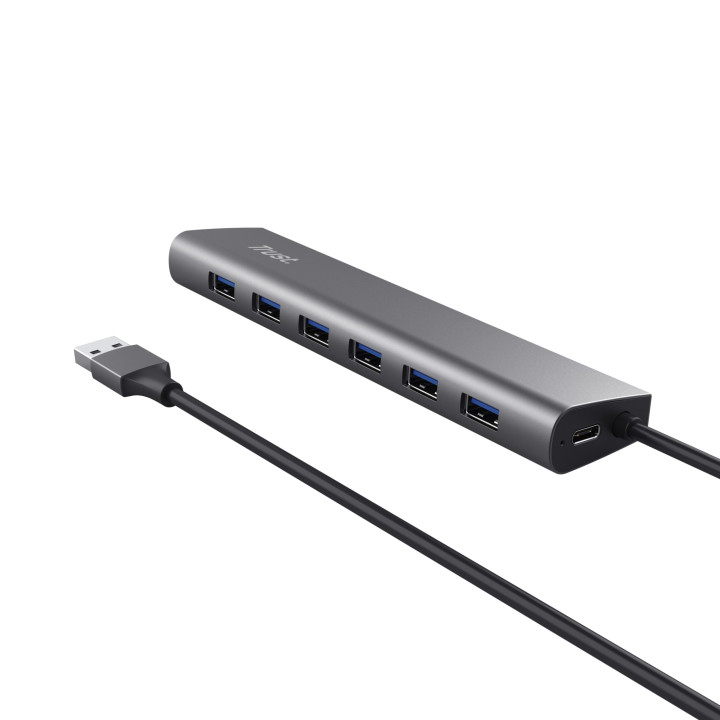 Trust Halyx USB 3.2 Gen 1 (3.1 Gen 1) Type-A 5000 Mbit s Prateado