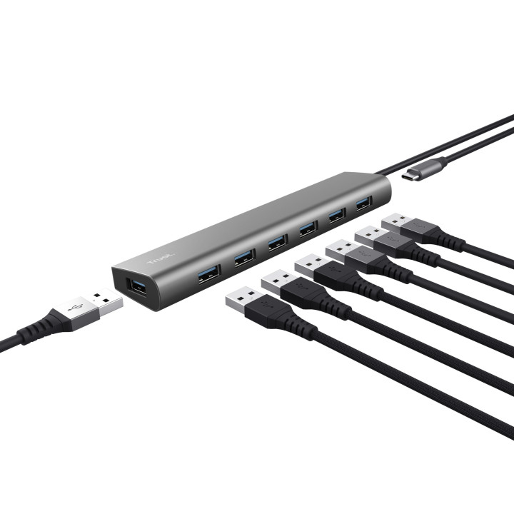 Trust Halyx USB 3.2 Gen 1 (3.1 Gen 1) Type-A 5000 Mbit s Prateado