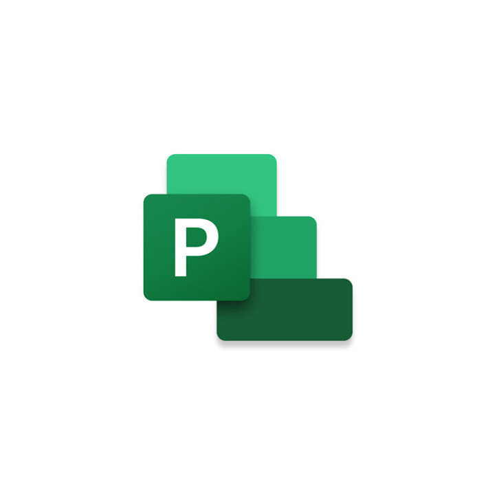 Microsoft Project Standard 2024 Gestão de projetos Completa 1 licença(s)