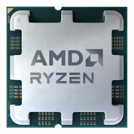 AMD Ryzen 5 5500 processador 3,6 GHz 16 MB L3