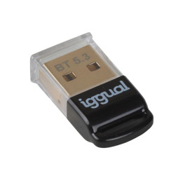 iggual IGG319383 placa adaptador de interface Interno Bluetooth