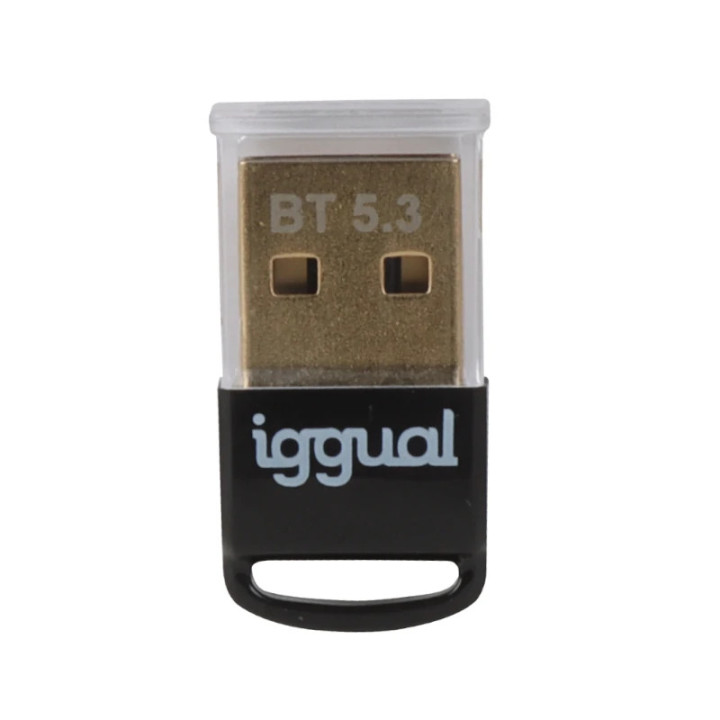 iggual IGG319383 placa adaptador de interface Interno Bluetooth