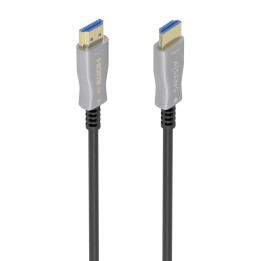 AISENS A148-0858 cabo HDMI 10 m HDMI Type A (Standard) Preto