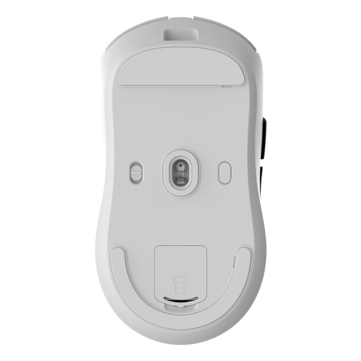 CoolBox W03 rato Jogos Mão direita RF Wireless + Bluetooth + USB Type-C Ótico 10000 DPI