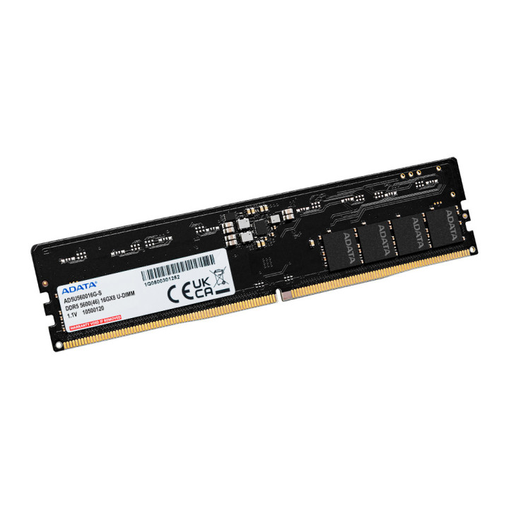 ADATA AD5U560016G-S módulo de memória 16 GB 1 x 16 GB DDR5 5600 MHz