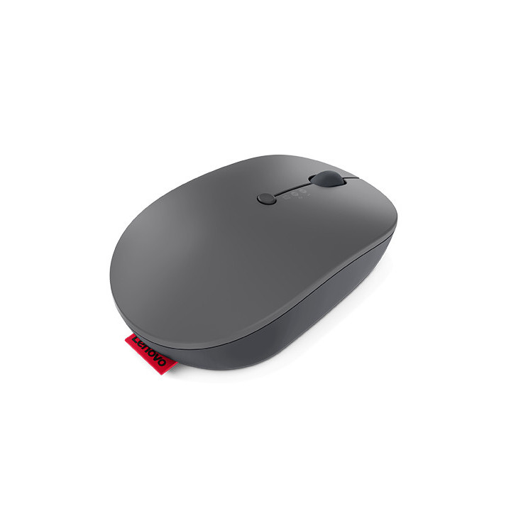 Lenovo Go Wireless Multi Device rato Escritório Ambidestro RF Wireless + Bluetooth + USB Type-A Ótico 2400 DPI