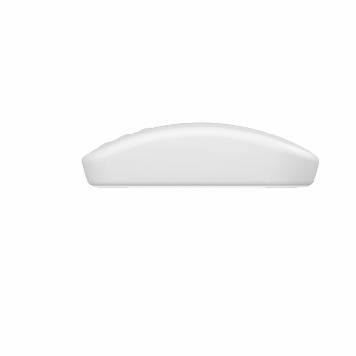 CHERRY AK-PMH3 rato Medical Ambidestro RF Wireless 1000 DPI
