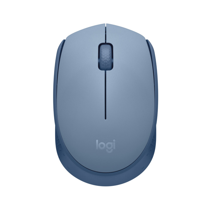 Logitech M170