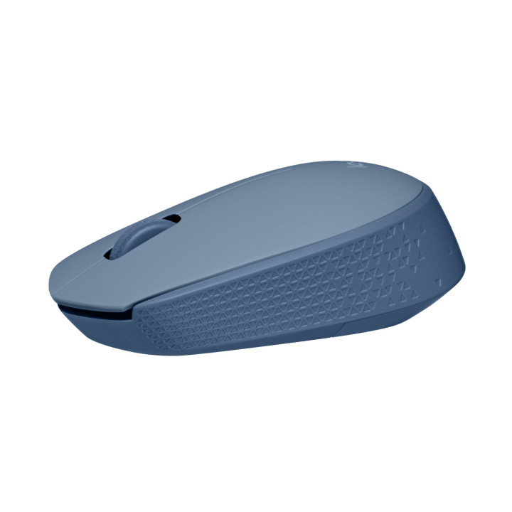 Logitech M170