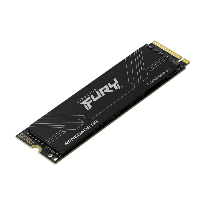 Kingston Technology FURY Renegade G5 1,02 TB M.2 PCI Express 5.0 NVMe 3D TLC