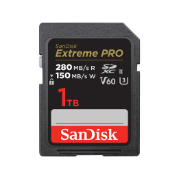 SanDisk SDSDXEP-1T00-GN4IN cartão de memória 1 TB SDXC UHS-II Classe 10