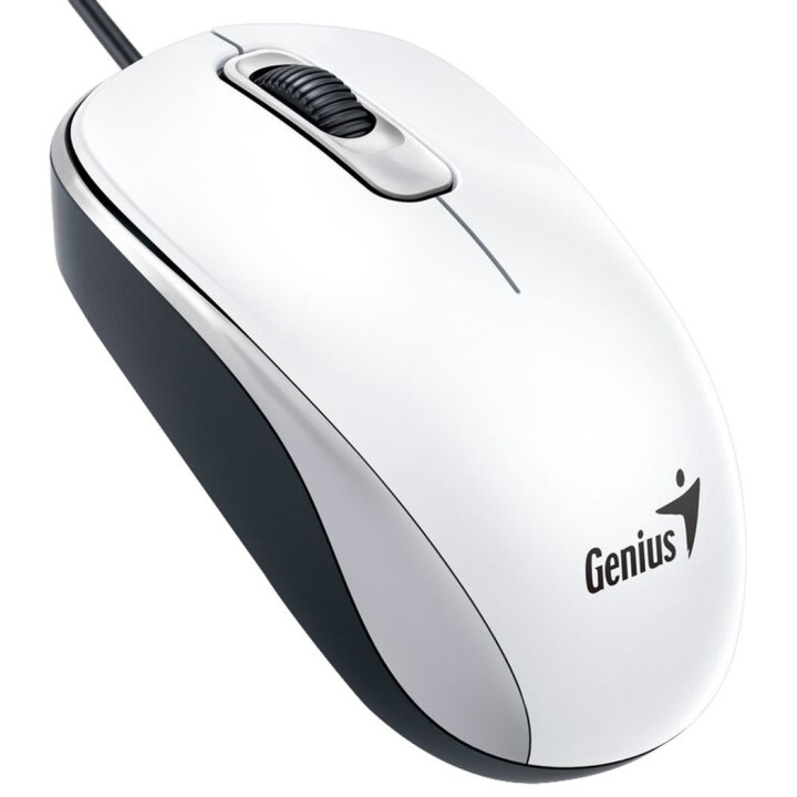 Genius Computer Technology DX-110 rato Escritório Ambidestro USB Type-A Ótico 1000 DPI