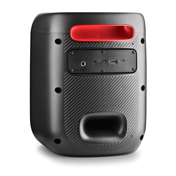 NGS WILD SWAG GO Coluna de festa Preto 40 W