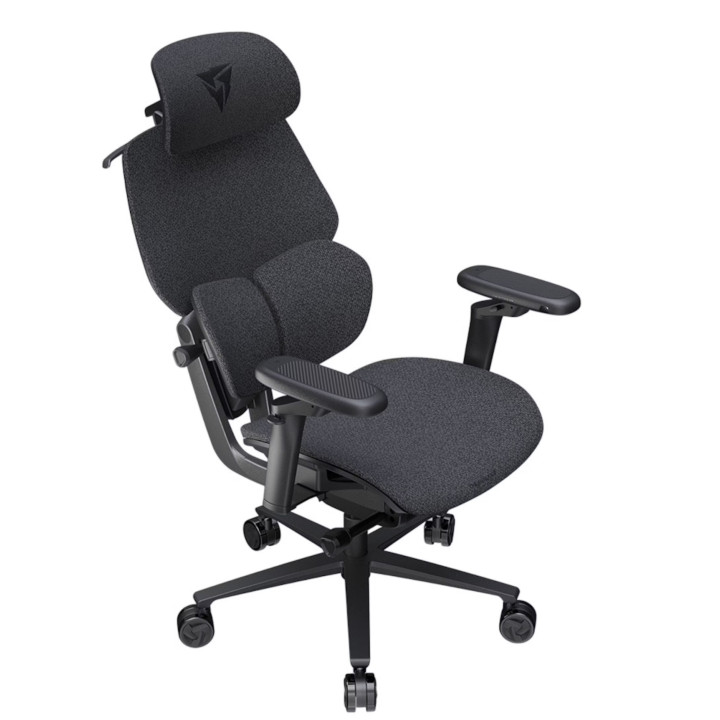 Cadeira Gaming Ergonomica ThunderX3 FLEX Pro, Apoio lombar 360 graus - Loft Dark Grey
