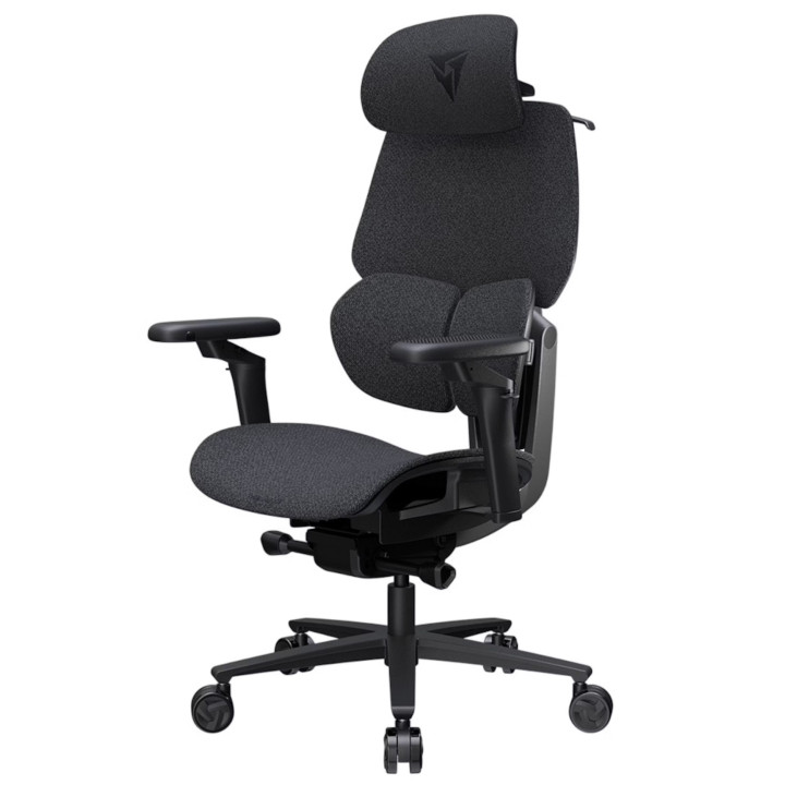 Cadeira Gaming Ergonomica ThunderX3 FLEX Pro, Apoio lombar 360 graus - Loft Dark Grey
