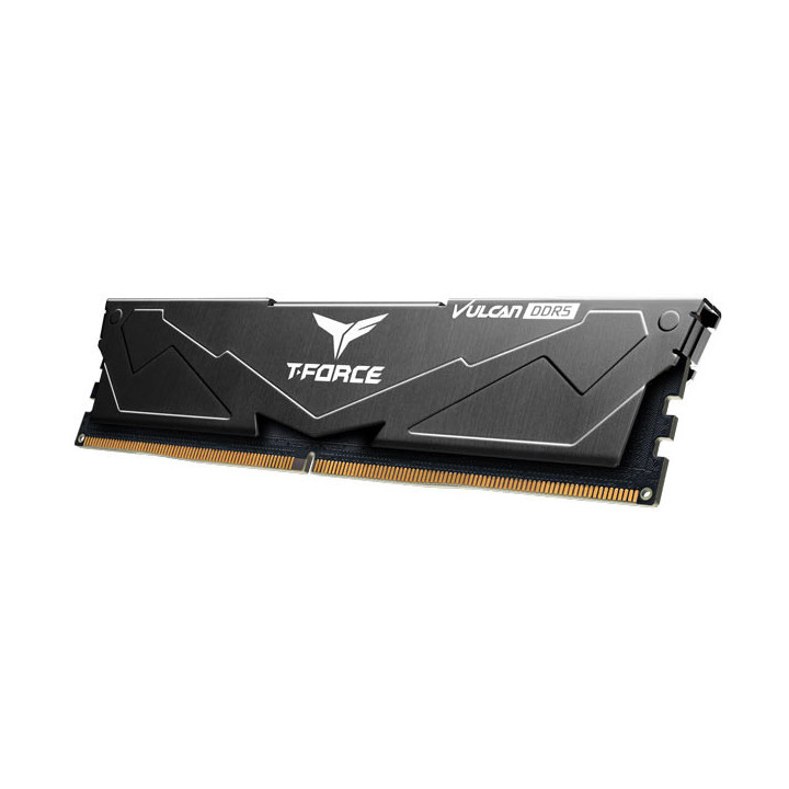 Team Group T-FORCE VULCAN FLBD532G6000HC38A01 módulo de memória 32 GB 1 x 32 GB DDR5 ECC