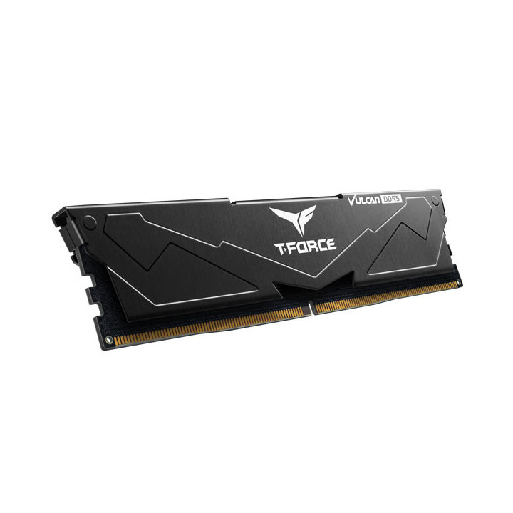 Team Group T-FORCE VULCAN FLBD532G6000HC38A01 módulo de memória 32 GB 1 x 32 GB DDR5 ECC