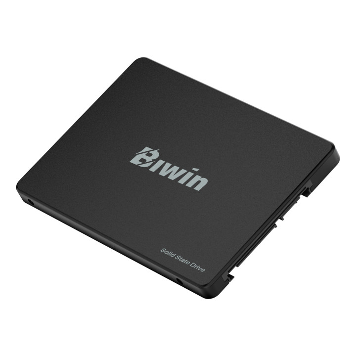 Biwin M100 1 TB 2.5" Serial ATA III