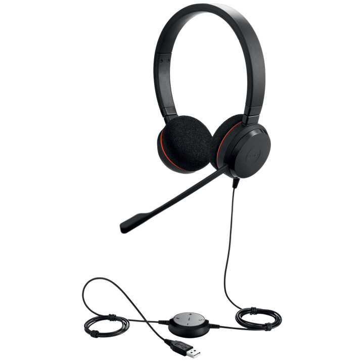 Jabra Evolve 20 Auscultadores Com fios Fita de cabeça Escritório Call center USB Type-A Preto