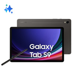 Samsung Galaxy Tab S9 SM-X716B 5G Qualcomm Snapdragon 256 GB 27,9 cm (11") 12 GB Wi-Fi 6 (802.11ax) Android 13 Grafite