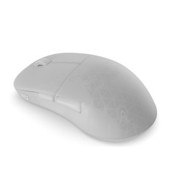 Rato Gaming Endgame Gear XM2w 4k V2 Wireless - White Frost