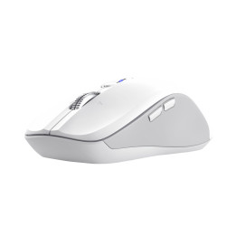 Trust 25674 rato Universal Ambidestro Bluetooth 3200 DPI