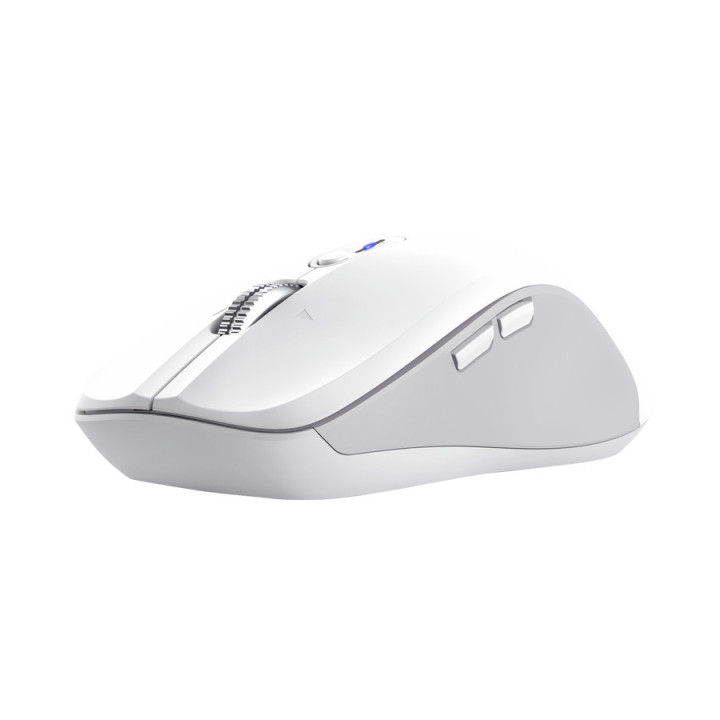 Trust 25674 rato Universal Ambidestro Bluetooth 3200 DPI