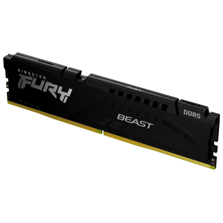 Kingston Technology FURY Beast módulo de memória 16 GB 1 x 16 GB DDR5 5600 MT s