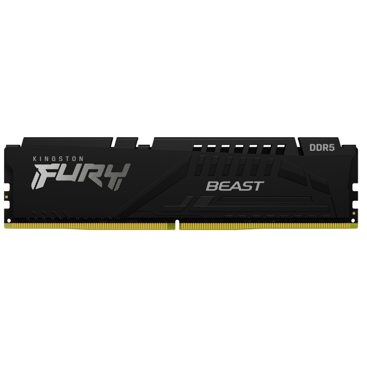 Kingston Technology FURY Beast módulo de memória 16 GB 1 x 16 GB DDR5 5600 MT s