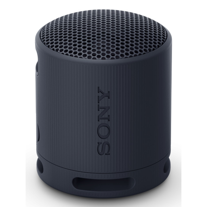 Sony SRS-XB100 Coluna portátil mono Preto
