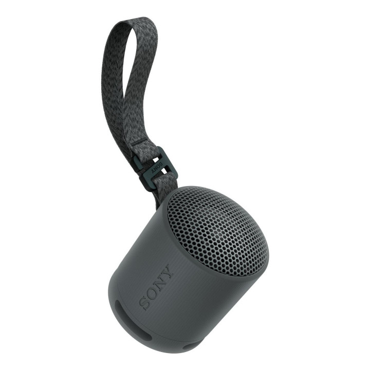 Sony SRS-XB100 Coluna portátil mono Preto