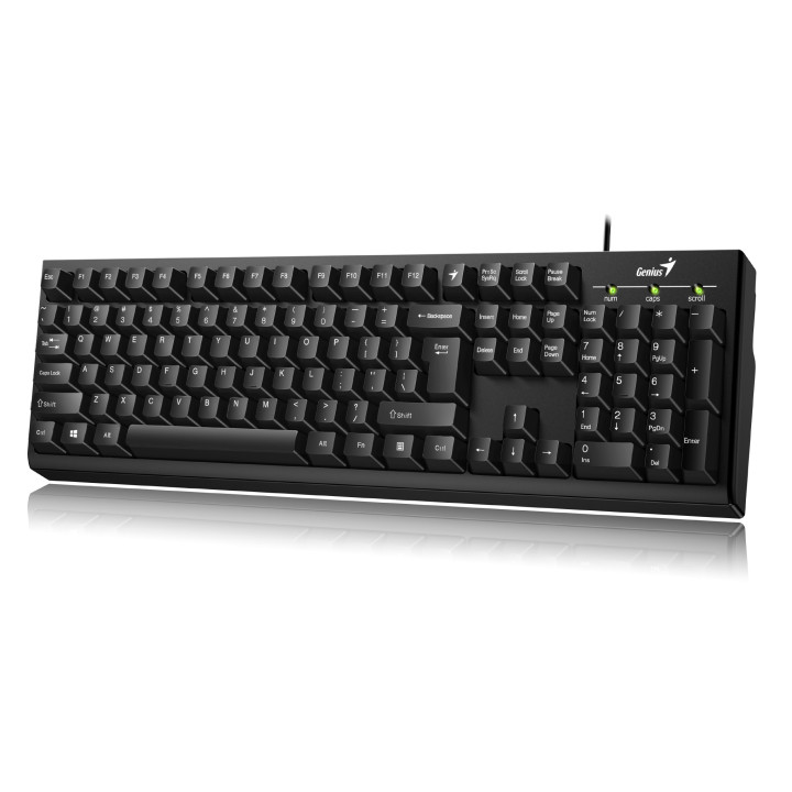 Genius Computer Technology KB-100 teclado Escritório USB QWERTY Inglês Preto
