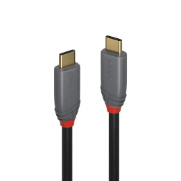 Lindy 36900 cabo USB 0,5 m USB C Preto, Cinzento