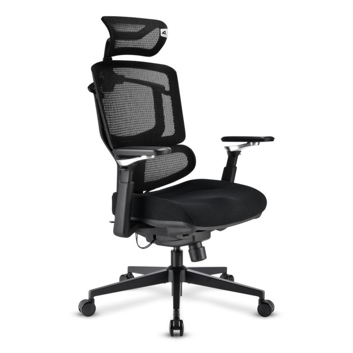 Sharkoon OfficePal C50 Assento acolchoado Encosto de rede