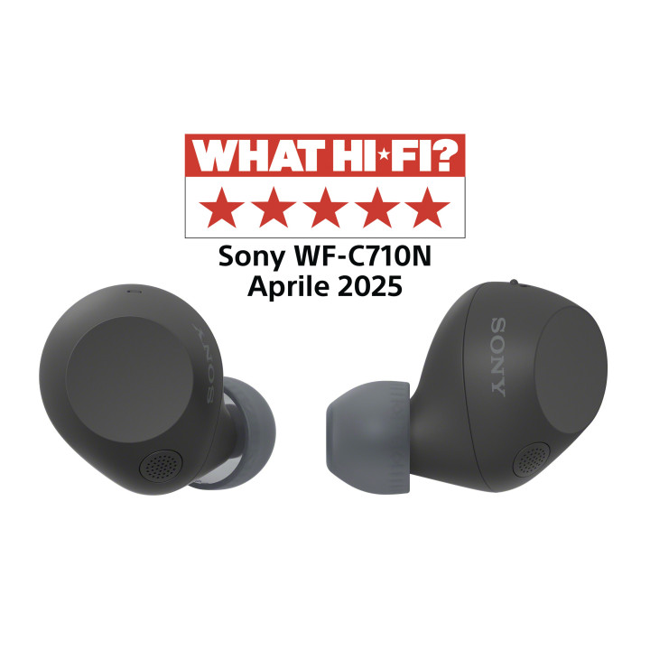 Sony WFC710NB.CE7 auscultador Auscultadores True Wireless Stereo (TWS) Intra-auditivo Chamadas Música USB Type-C Bluetooth Preto