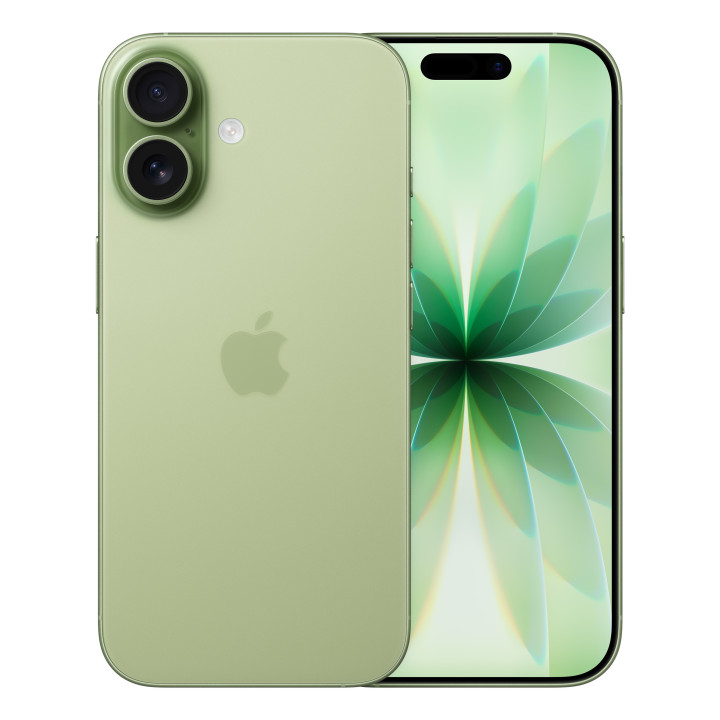 Apple iPhone 17 16 cm (6.3") Dual SIM iOS 26 5G USB Type-C 256 GB Salva
