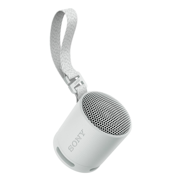 Sony SRS-XB100 Coluna portátil mono Cinzento