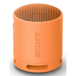 Sony SRS-XB100 Coluna portátil mono Laranja