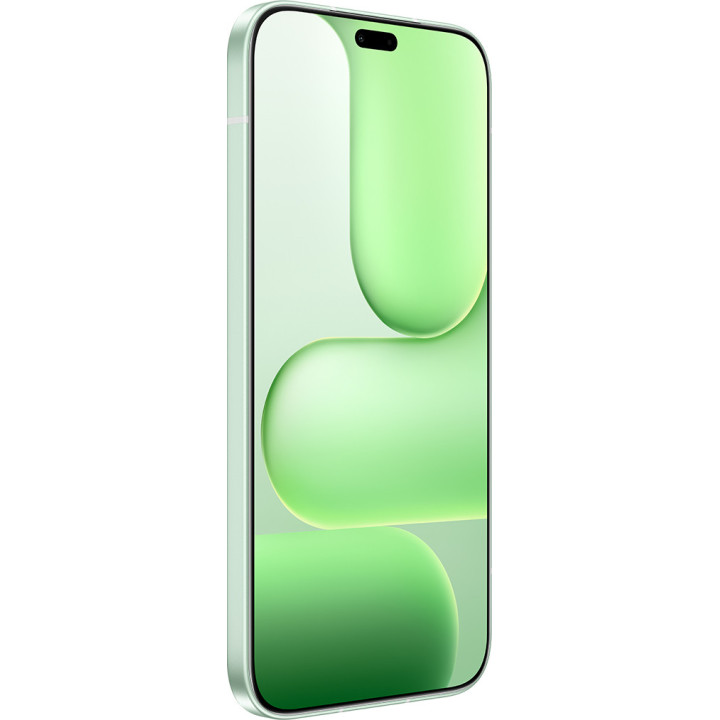 Honor 600 Lite 16,8 cm (6.6") Dual SIM Android 16.0 5G USB Type-C 8 GB 256 GB 6520 mAh Verde