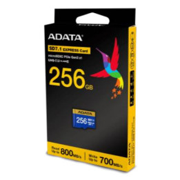 ADATA UD256GEX3L1-C cartão de memória 256 GB MicroSDXC UHS-II