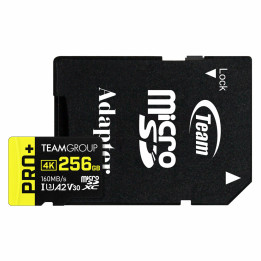 Team Group TPPMSDX256GIA2V3003 cartão de memória 256 GB MicroSDXC UHS-I Classe 10