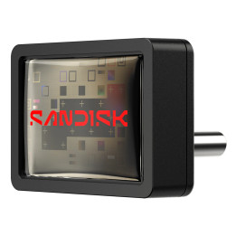 SanDisk Extreme Fit unidade de memória USB 256 GB USB Type-C 3.2 Gen 1 (3.1 Gen 1) Preto