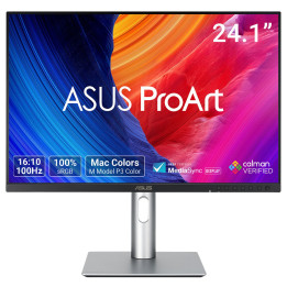 ASUS ProArt PA248QFV monitor de ecrã 61,2 cm (24.1") 1920 x 1200 pixels WUXGA LCD Prateado