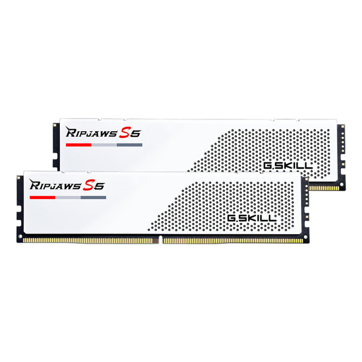 G.Skill F5-6000J3036F24GX2-RS5W módulo de memória 48 GB 2 x 24 GB DDR5 5600 MT s 288-pin DIMM
