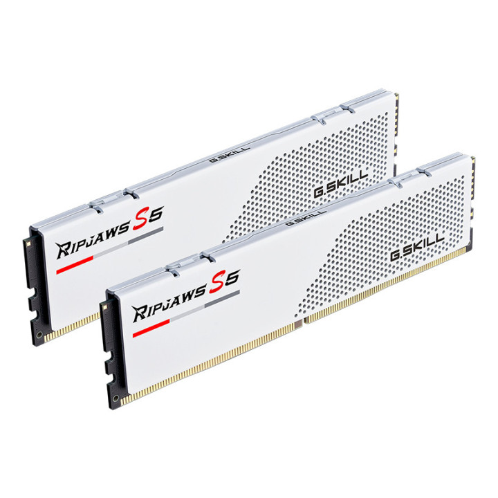 G.Skill Ripjaws S5 F5-6000J3036F48GX2-RS5W módulo de memória 96 GB 2 x 48 GB DDR5 288-pin DIMM