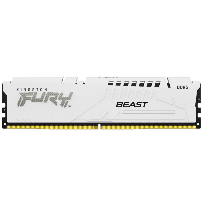 Kingston Technology FURY Beast módulo de memória 32 GB 1 x 32 GB DDR5 5600 MT s 288-pin DIMM