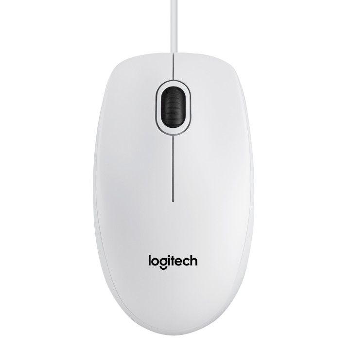 Logitech B100 rato Escritório Ambidestro USB Type-A Ótico 800 DPI